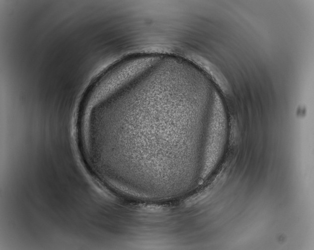 X0000102500677200808221755