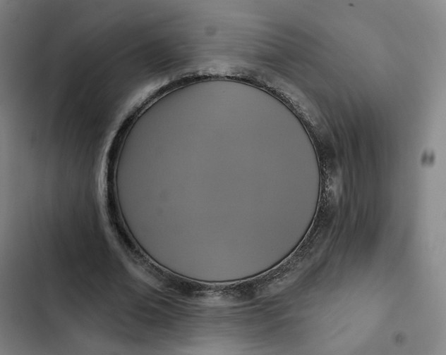 X0000102500678200808221755