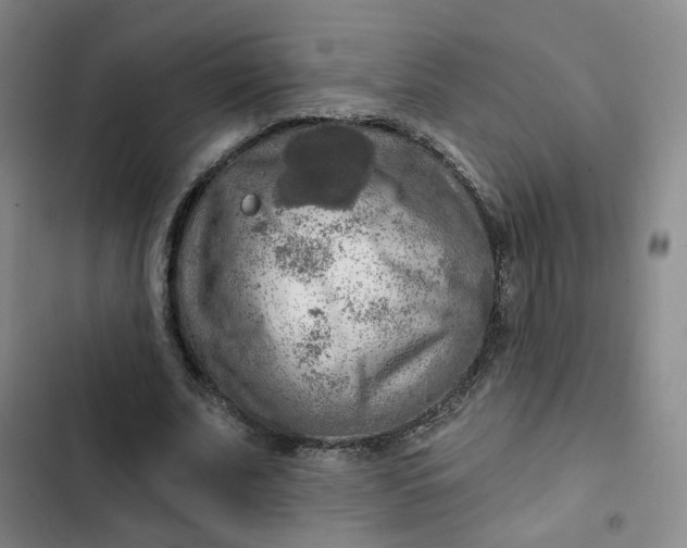 X0000102500679200808221754