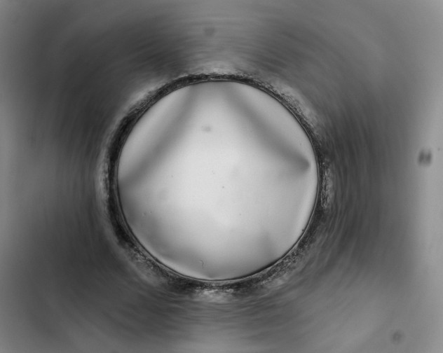 X0000102500680200808221754