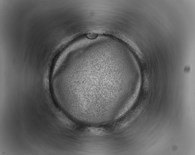 X0000102500681200808221754