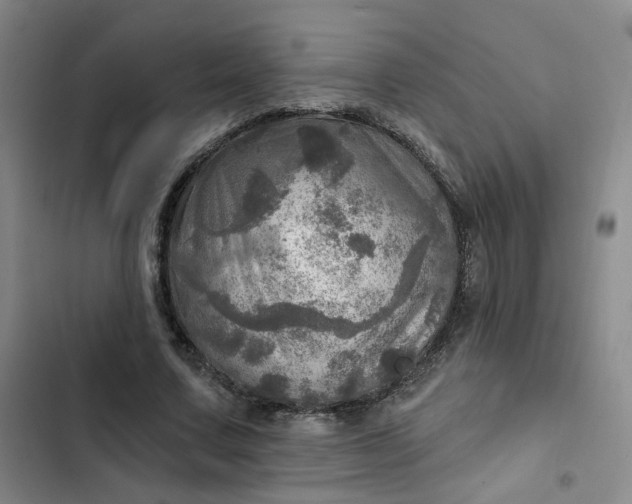 X0000102500683200808221754