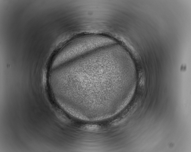 X0000102500685200808221754