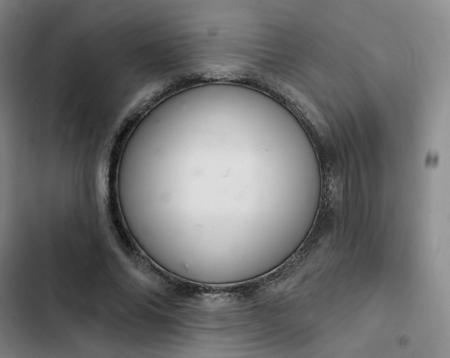 X0000102500686200808221754