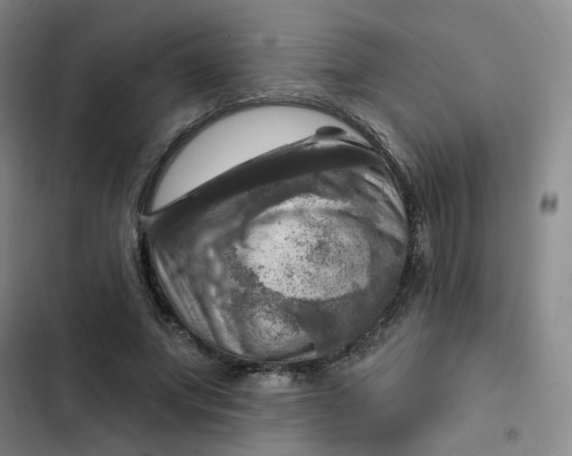 X0000102500687200808221754