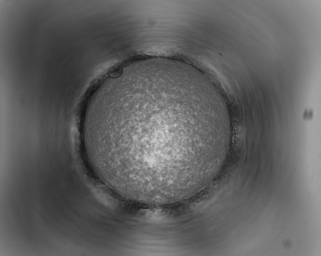 X0000102500688200808221754