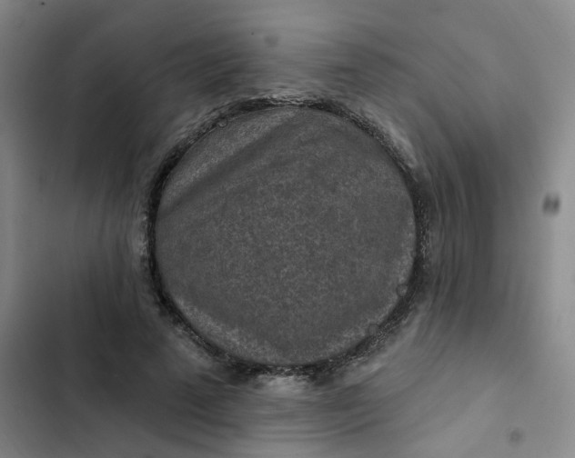 X0000102500689200808221754