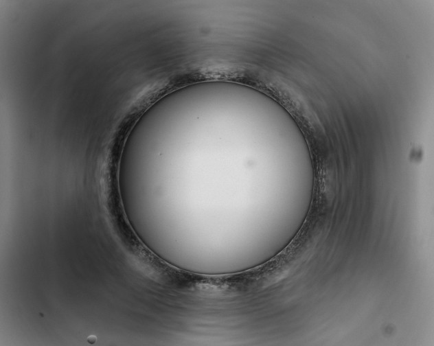 X0000102500690200808221754