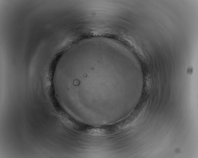 X0000102500691200808221754