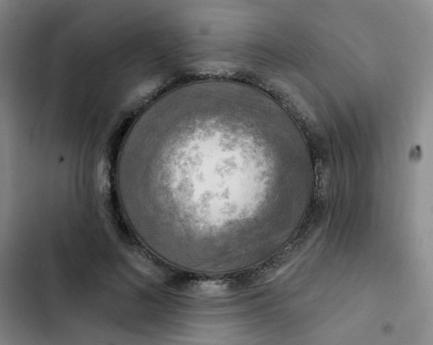 X0000102500692200808221754