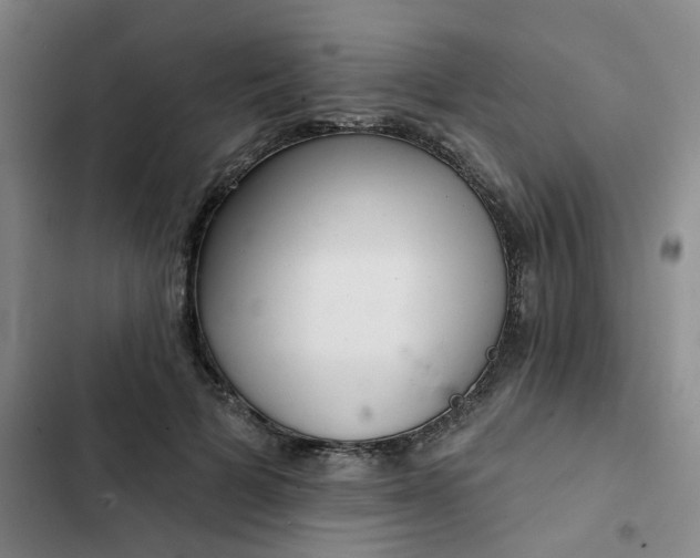 X0000102500697200808221754