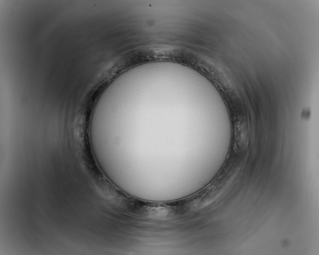 X0000102500698200808221754