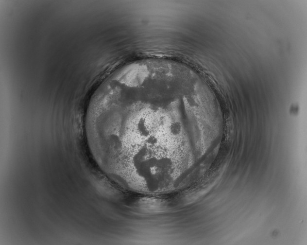 X0000102500699200808221754