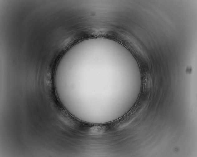 X0000102500700200808221754