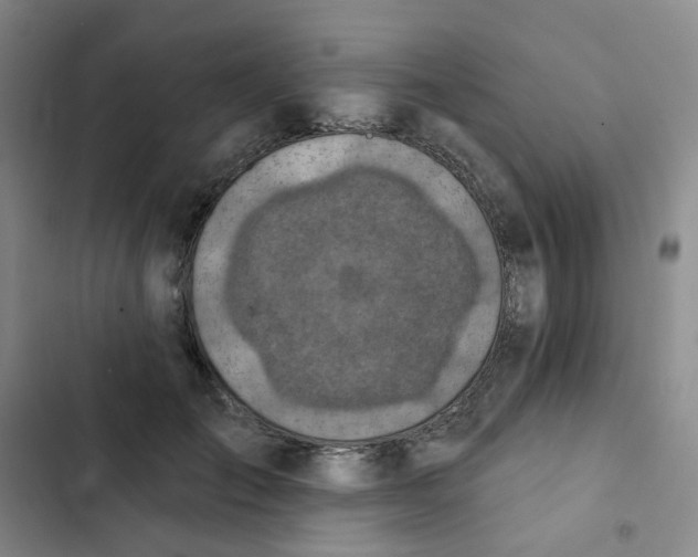 X0000102500701200808221754