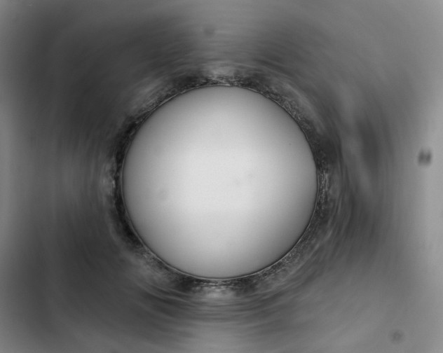 X0000102500702200808221754