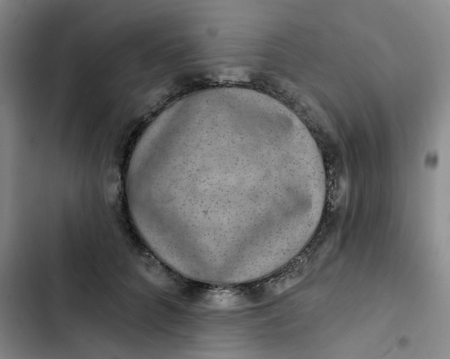 X0000102500704200808221754