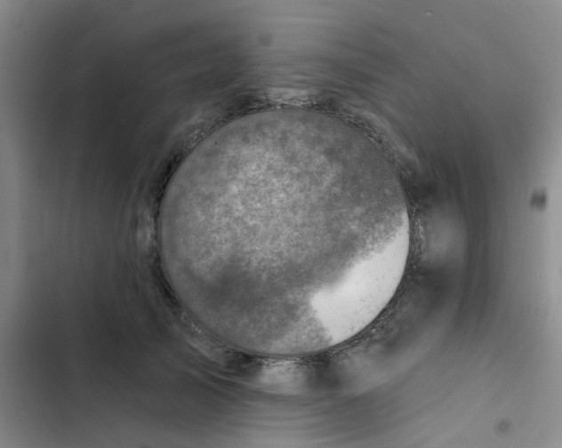 X0000102500705200808221754