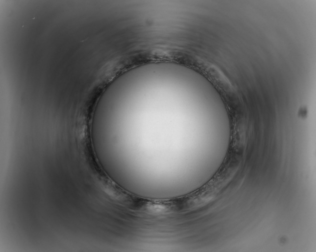 X0000102500706200808221754