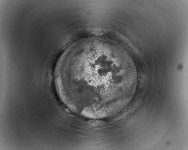 X0000102500707200808221754