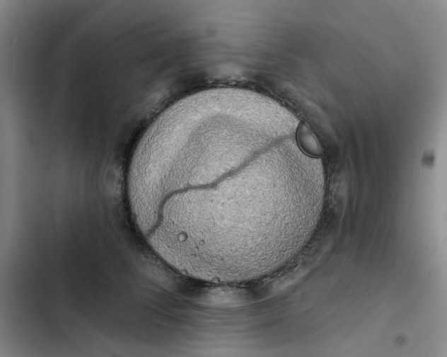 X0000102500708200808221754