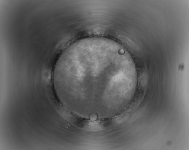 X0000102500709200808221754