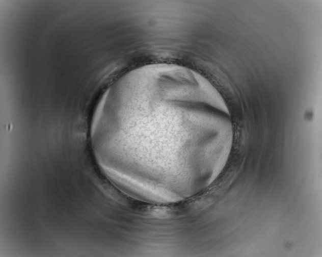 X0000102500710200808221754