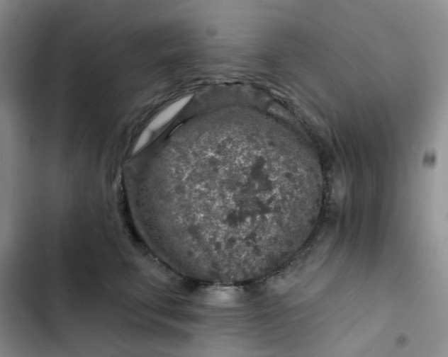 X0000102500711200808221754