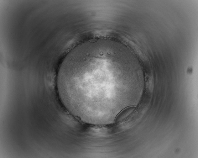 X0000102500712200808221754