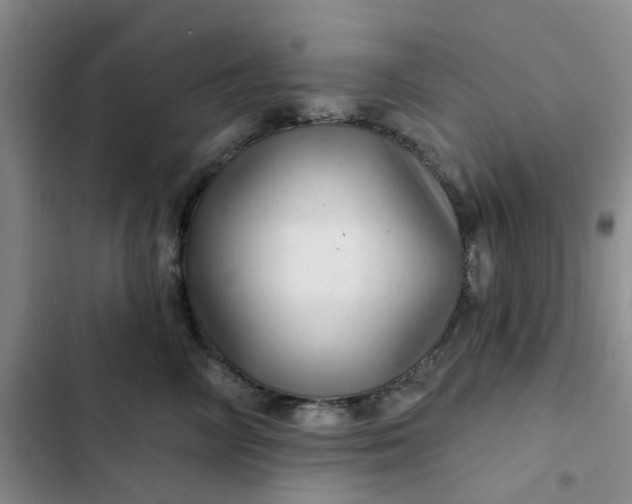 X0000102500714200808221754