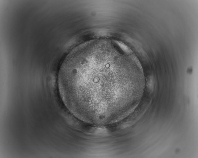 X0000102500715200808221754