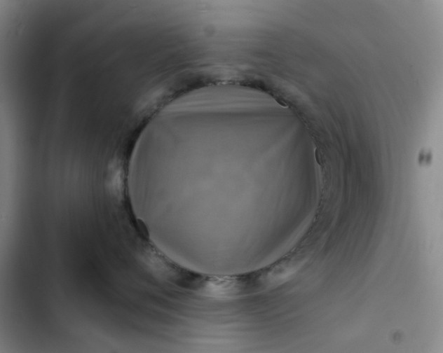 X0000102500720200808221754