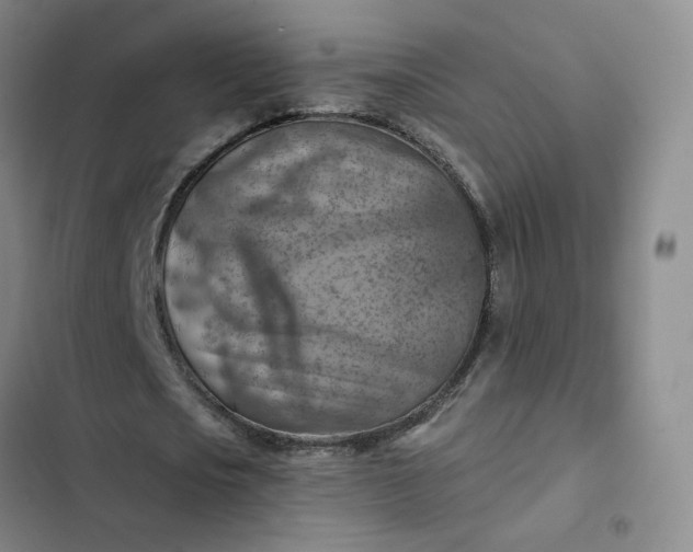 X0000102500721200808221753