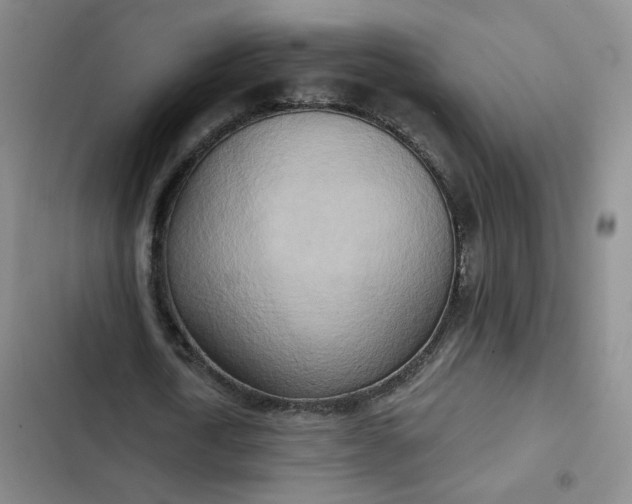 X0000102500722200808221753