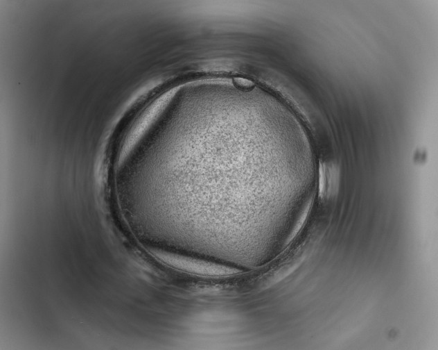 X0000102500723200808221753