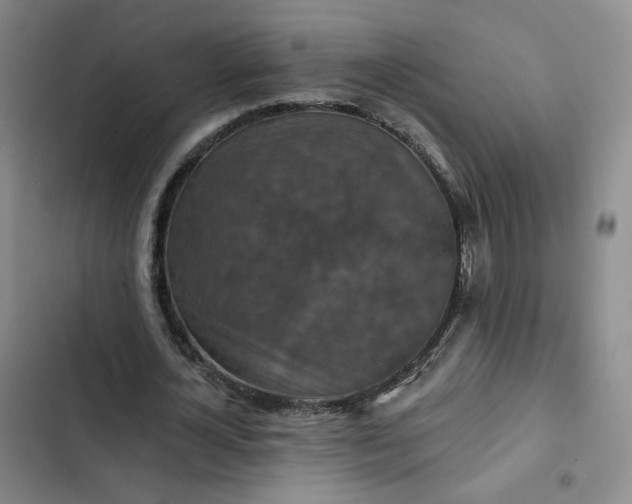 X0000102500724200808221753