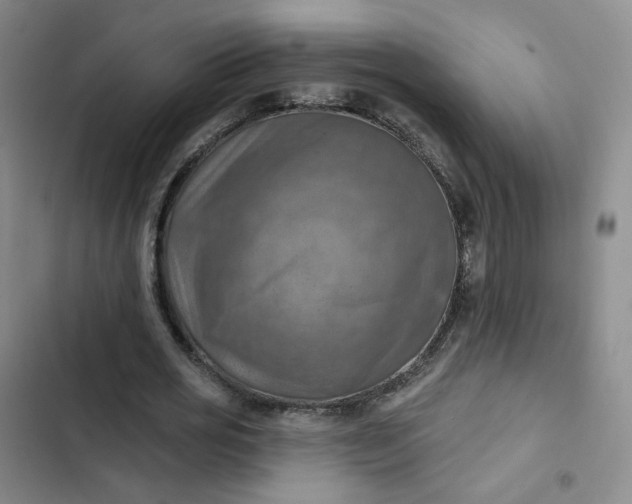 X0000102500725200808221753