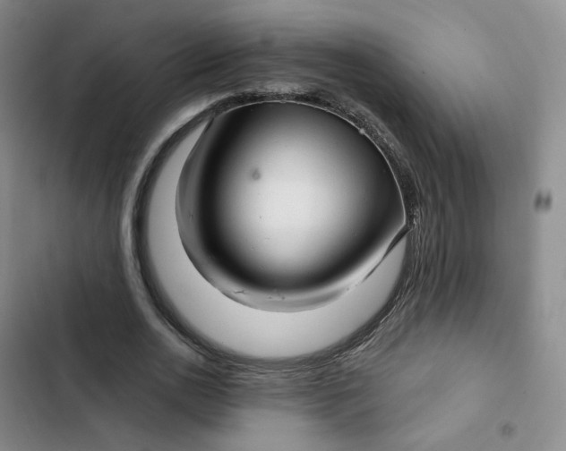 X0000102500726200808221753