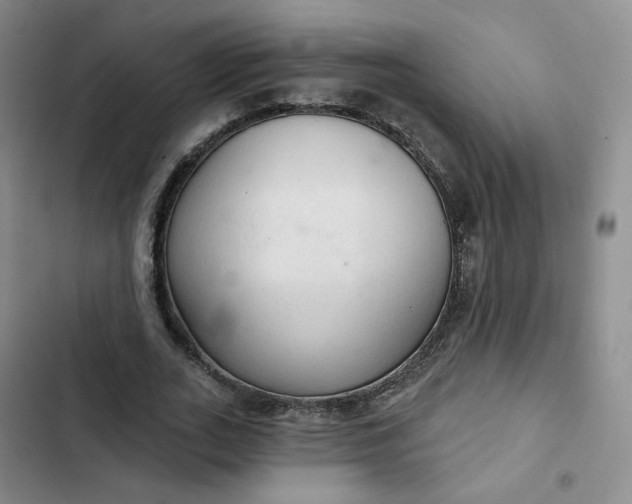 X0000102500727200808221753