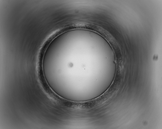 X0000102500728200808221753