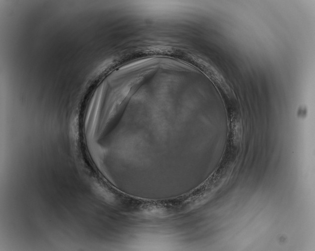 X0000102500729200808221753