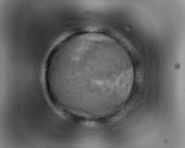 X0000102500730200808221753