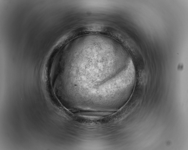 X0000102500731200808221753