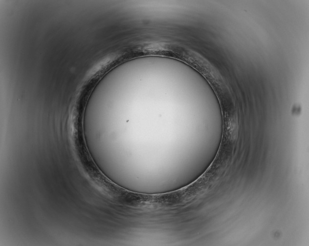 X0000102500732200808221753