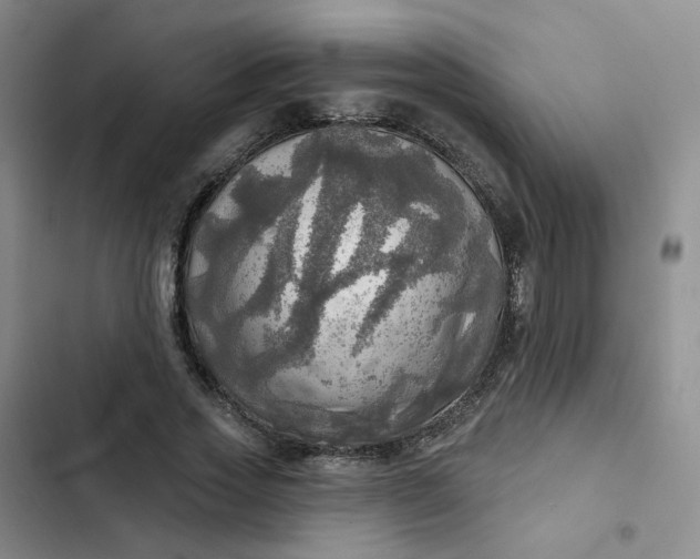 X0000102500733200808221753