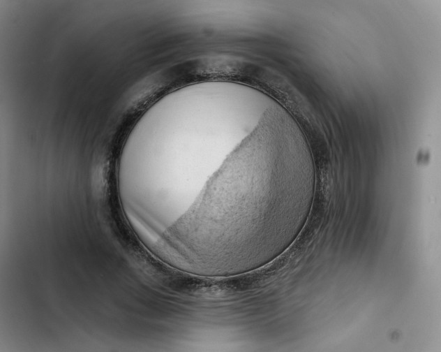 X0000102500735200808221753