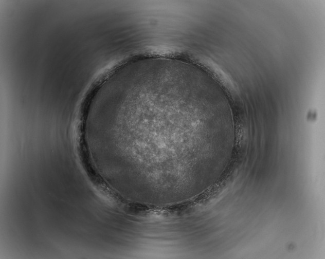 X0000102500736200808221753