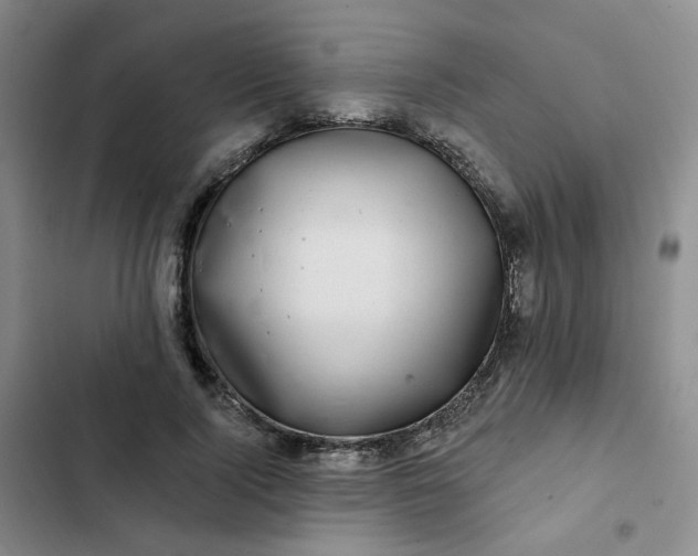 X0000102500740200808221753