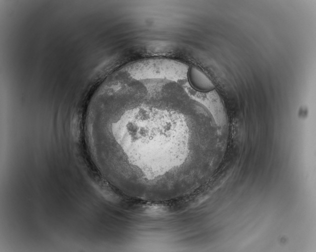 X0000102500741200808221753