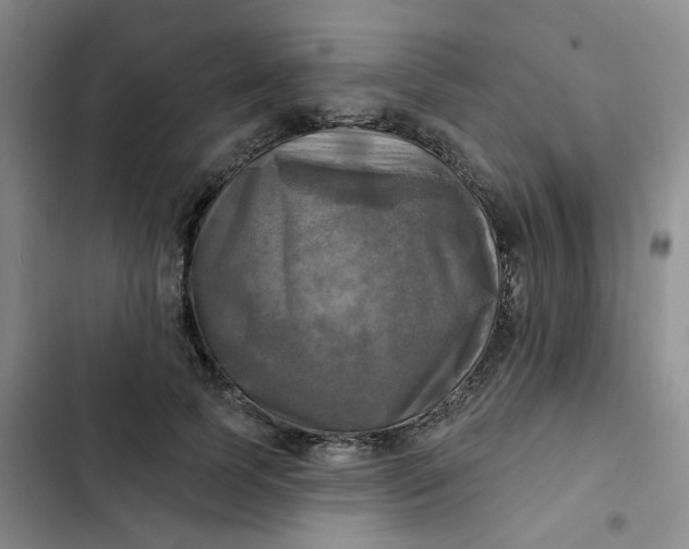 X0000102500745200808221753